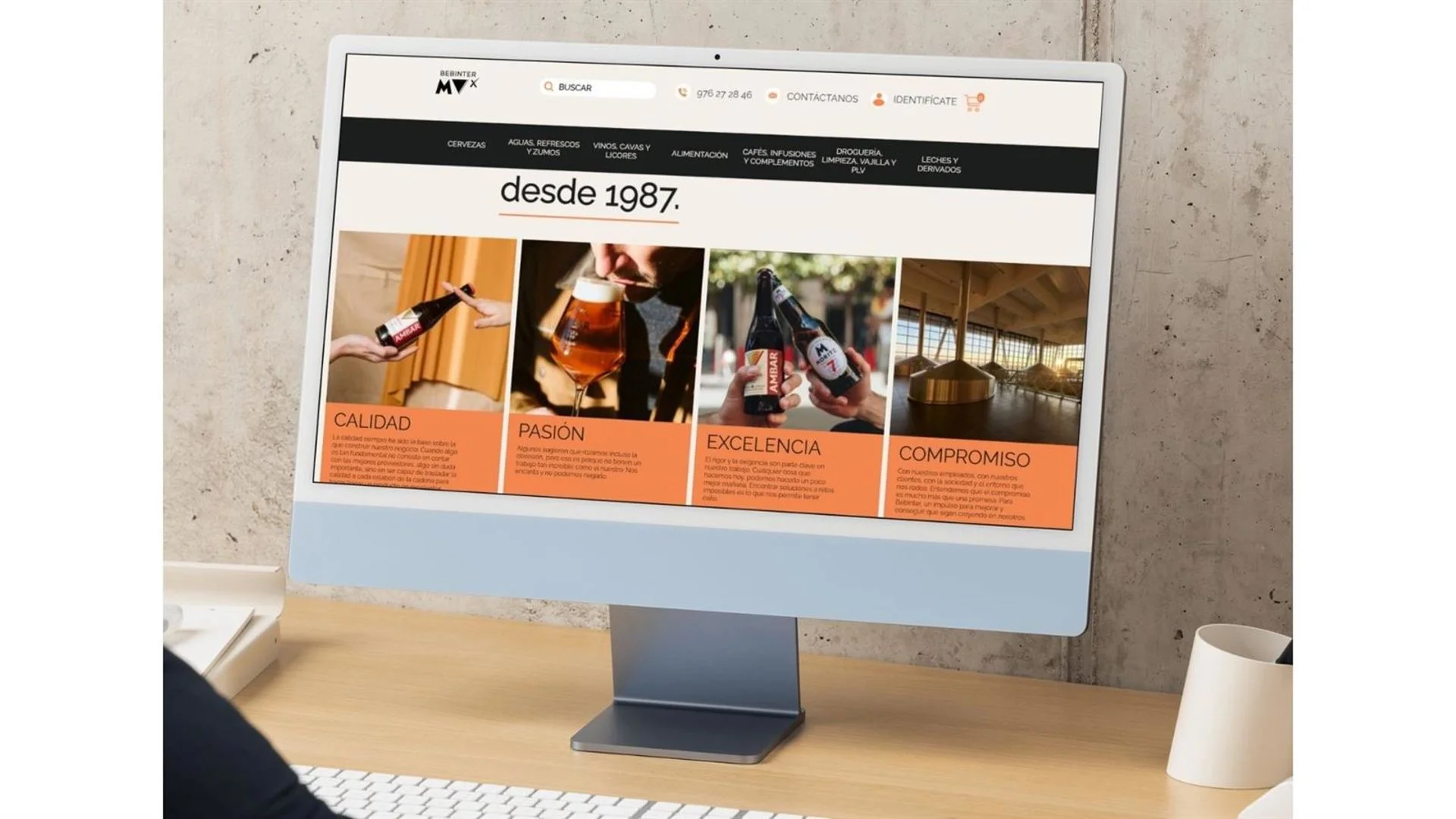Diseño web en Sanxenxo